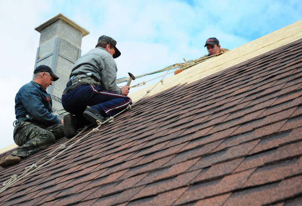 Best Roof Gutter Cleaning  in Bay Park, NY
